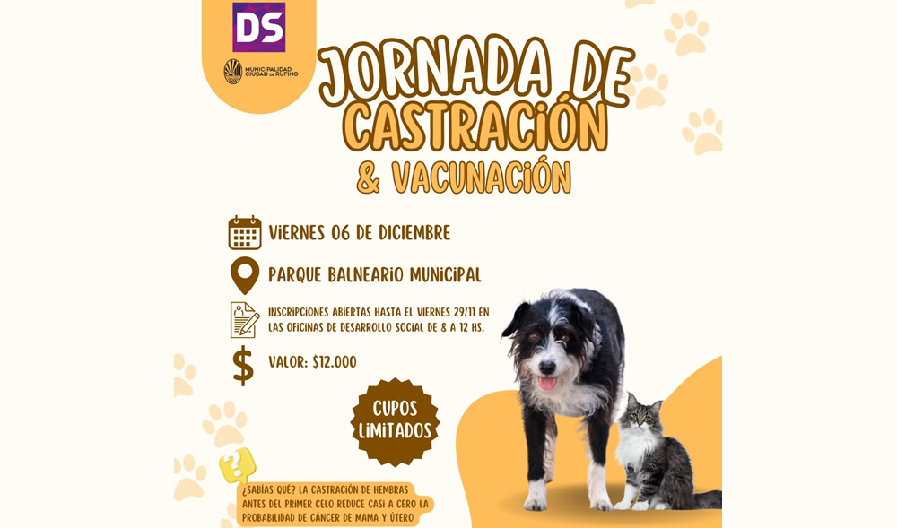 Jornada de castración para perros y gatos