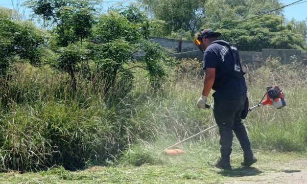 Trabajos de desmalezados en el sector sur