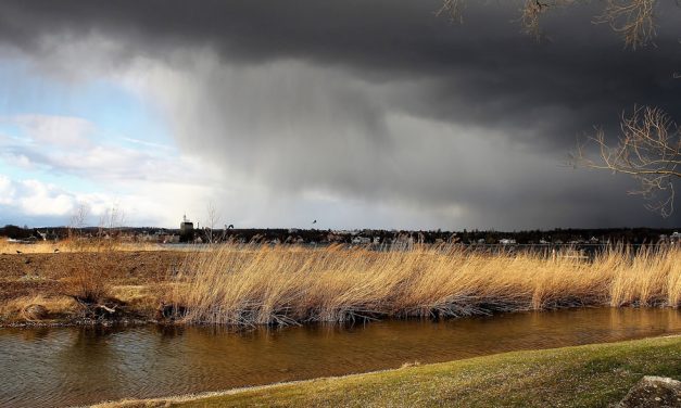 Lluvias en Rufino: 48 mm de alivio sin complicaciones