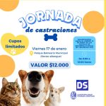 Jornada de castración para perros y gatos