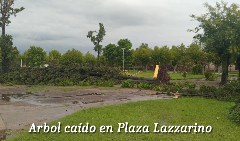 Fuerte temporal de agua y viento azotó a Amenabar y Lazzarino